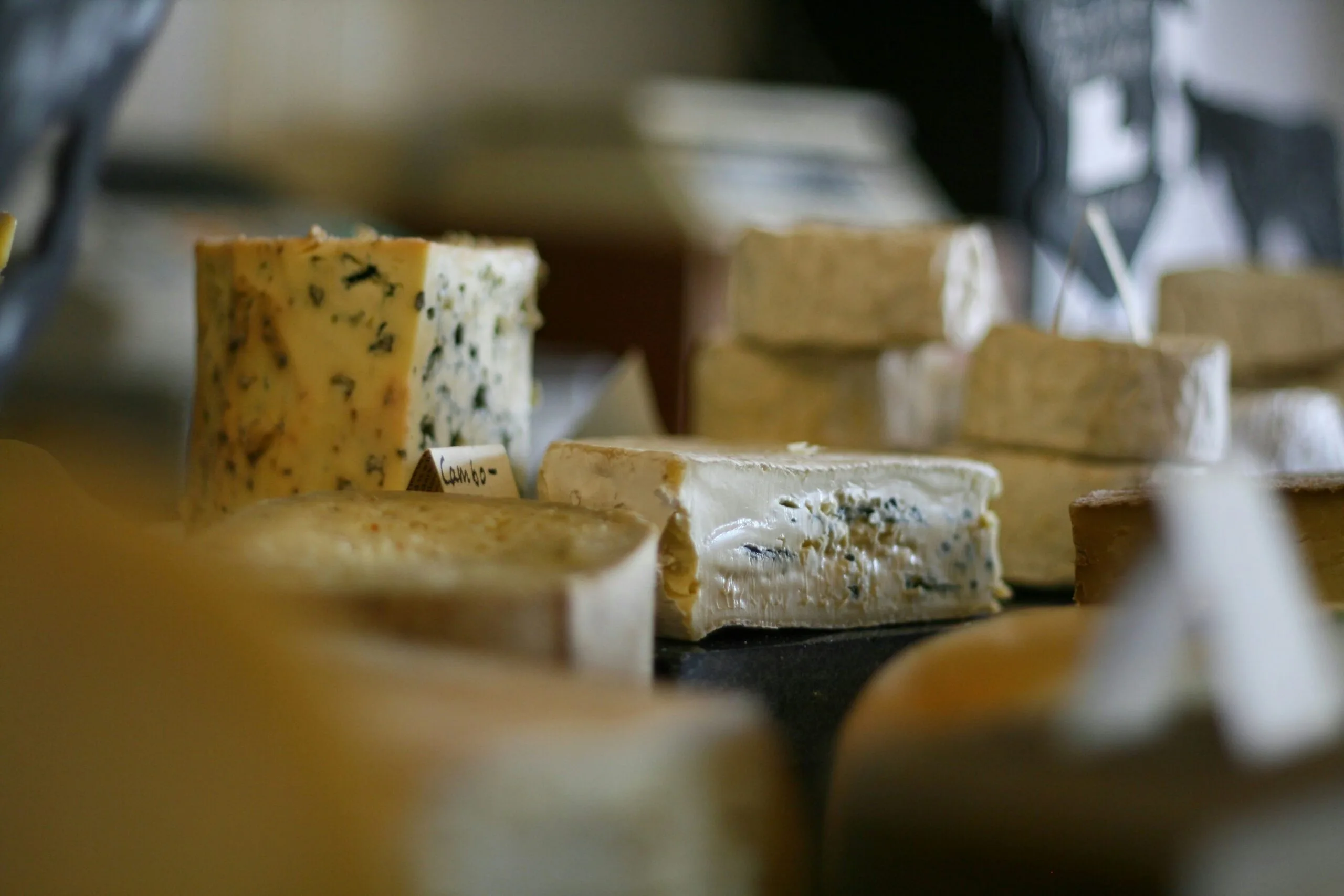 CHEESE GOURMET [TASTING - 65 MINUTES]